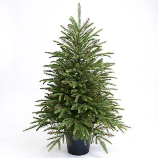 De Premfy Kunstkerstboom 90 cm in pot in één oogopslag