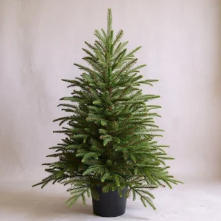 Premfy Kunstkerstboom 90 cm in pot