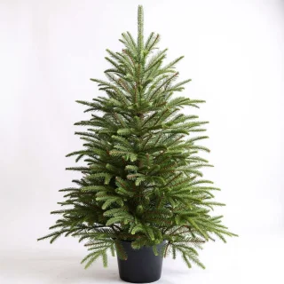 Premfy Kunstkerstboom 90 cm in pot