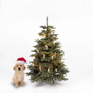 Premium kunstkerstboom 150 cm