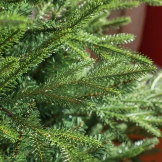 Pugsdrly Kerstboom 150 cm
