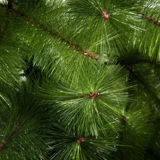 Pugsdrly Kunstmatige kerstboom 210 cm