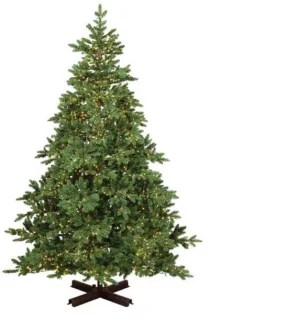 Rossland Fir Indoor I