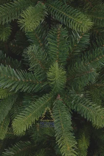 Royal Christmas Bogota Greenwood Kunstkerstboom 210 cm