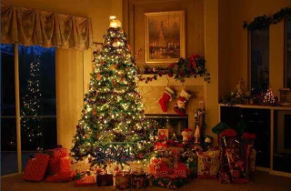 Royal Christmas Bogota Kunstkerstboom 210 cm Groen