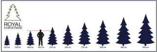 Royal Christmas Green Spruce Kunstkerstboom 150 cm