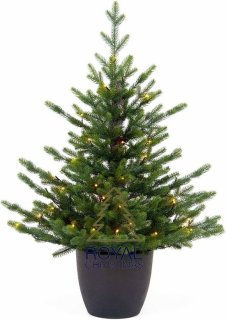 Royal Christmas Mini POT 90 cm — compact, levensecht en feestelijk klaar