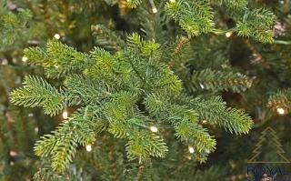 Royal Christmas Royal Vermont Spruce Kunstkerstboom 210 cm