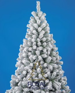 Wat vinden we goed aan de Royal Christmas - Sneew Kunstkerstboom 210 cm