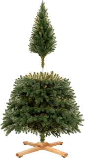 Royal Trees Kunstkerstboom Green Pine 210 cm