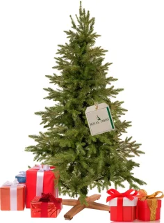 Royal Trees Premium Himalayan Kunstkerstboom 150 cm