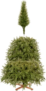 Royal Trees Premium Himalayan Kunstkerstboom 240 cm