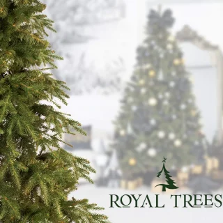 Royal Trees Premium Himalayan kunstkerstboom