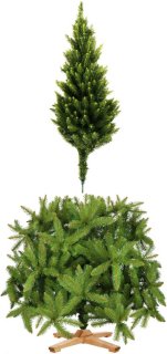 Compacte elegantie: de Royal Trees Kaukasische spar 180 cm