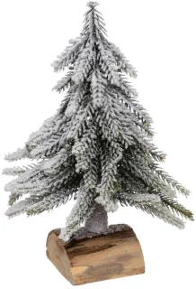 Sapin branche vert