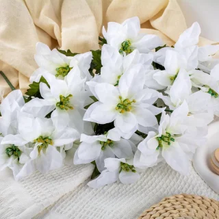 Wat vinden we goed aan de Set van 4 kerststerstruiken 35 cm