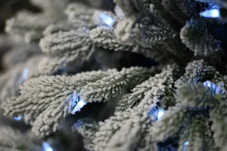 Snowy Hamilton kunstkerstboom 213 cm groen met 600 led lampjes