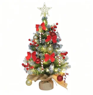 SolidKeus mini kerstboom met verlichting en sneeuw, 60 cm