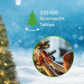 Spar Kerstboom 180cm met houten standaard