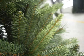 Sprankelende Kerst PVC Superfoil Kerstboom 180 cm