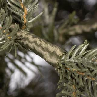Springos Kunstkerstboom Premium Spruce 210 cm