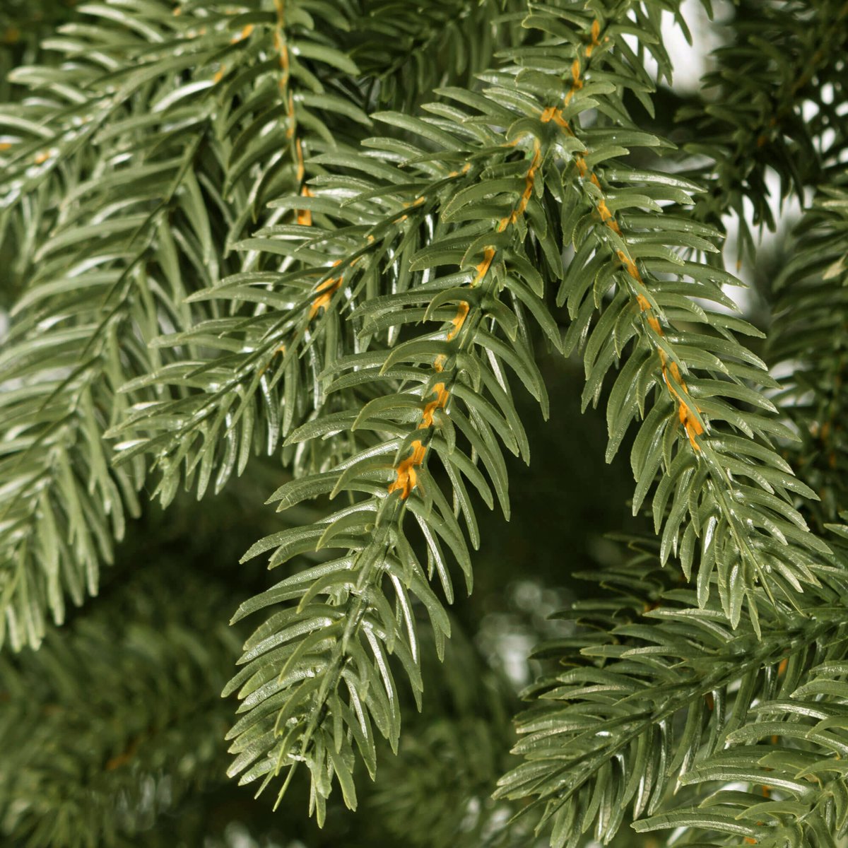 Springos Premium Light Pine Kunstkerstboom 180 cm