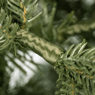 Springos Premium Light Pine Kunstkerstboom 220 cm