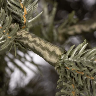 Springos Premium Pine Kunstkerstboom 250 cm
