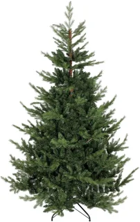 Tafelkerstboom groen
