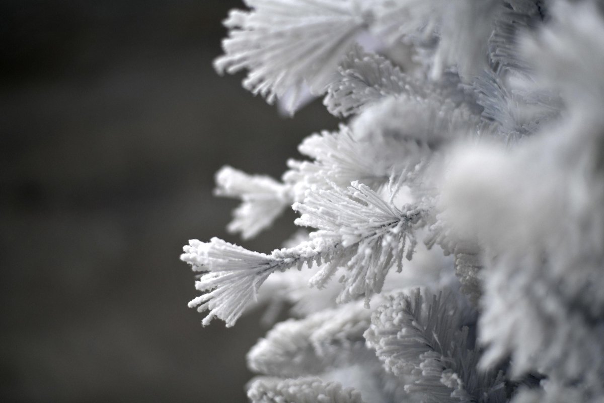 Teddy White kunstkerstboom 150 cm wit besneeuwd