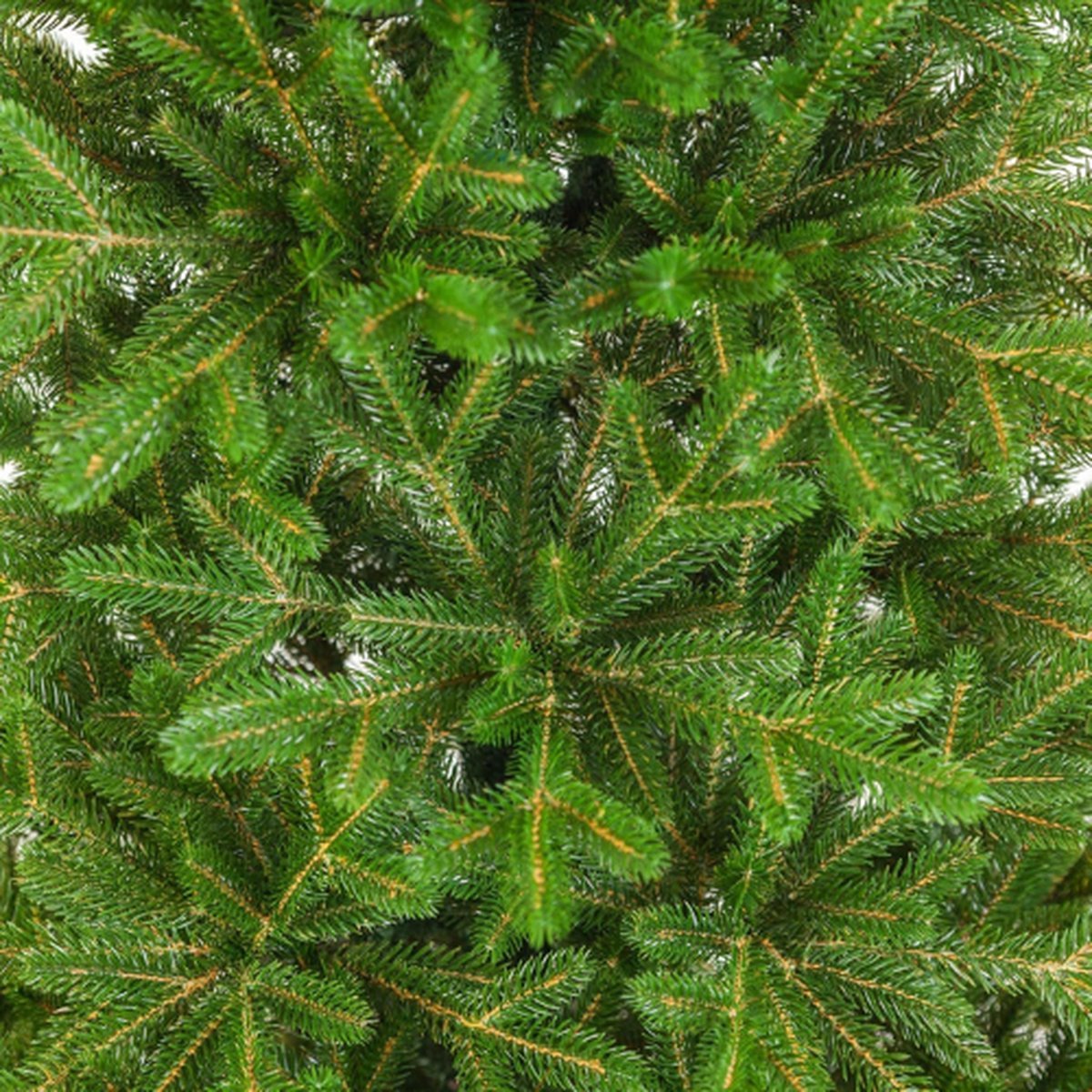 Thuys Kunstkerstboom Dennenboom 180 cm Groen Metalen Voet