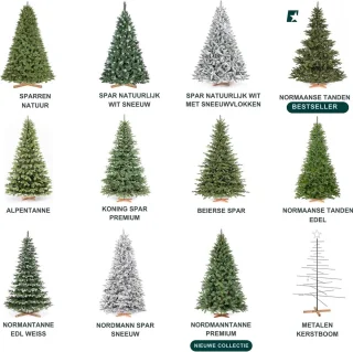 Thuys Nordmanntanne Kunstkerstboom 180 cm Groene Stam