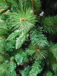 Thuys Vulgaar en Groen Kunstkerstboom 210 cm