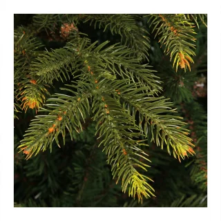 Top Trees Vancouver Kunstkerstboom 155 cm Groen