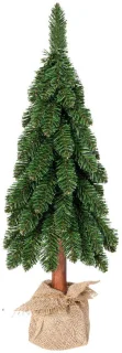 Tora boom groen