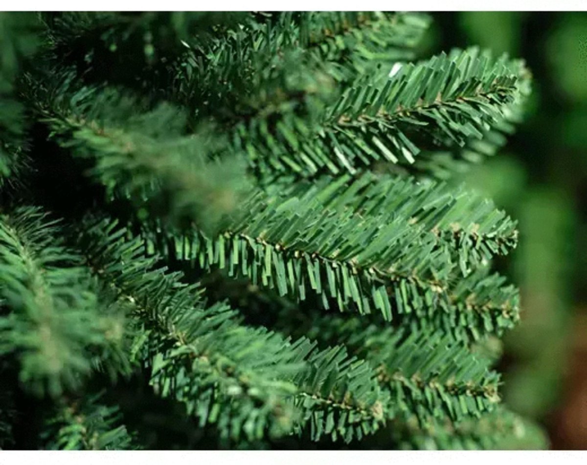 Treb Classic Pencil Pine Kunstkerstboom 180 cm