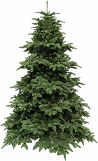 Triumph Tree Abies Nordmann Deluxe Kunstkerstboom