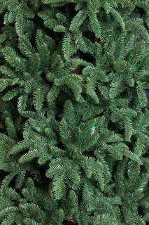 Triumph Tree Abies Nordmann Deluxe Kunstkerstboom