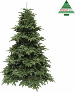Triumph Tree Abies Nordmann Kunstkerstboom 260x175 cm Donkergroen