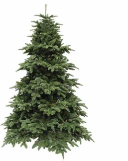 Triumph Tree Abies Nordmann Kunstkerstboom 260x175 cm Donkergroen