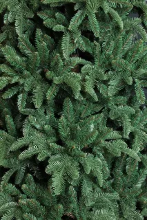 Triumph Tree Abies Nordmann Kunstkerstboom 260x175 cm Donkergroen