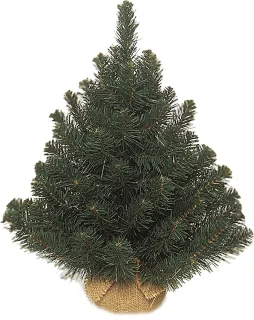 Triumph Tree Alpine Kunstkerstboom Jute H60cm Groen