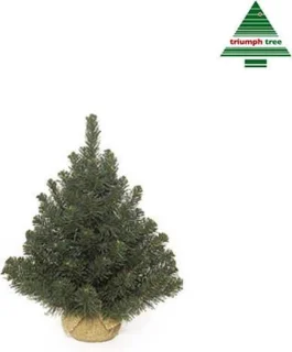 Triumph Tree Alpine Kunstkerstboom Jute H60cm Groen