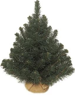 Triumph Tree Alpine Kunstkerstboom Jute H60cm Groen