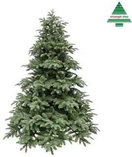 Triumph Tree Arlington kerstboom 185 cm
