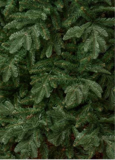 Triumph Tree Arlington kerstboom 185 cm