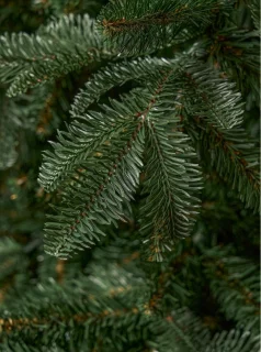 Triumph Tree Arlington kerstboom 185 cm