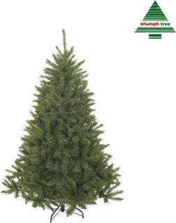 Triumph Tree Bristlecone Kunstkerstboom 215 cm Groen