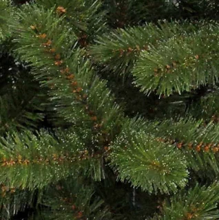Triumph Tree Bristlecone Kunstkerstboom 215 cm groen