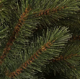 Triumph Tree Bristlecone Kunstkerstboom 215 cm groen